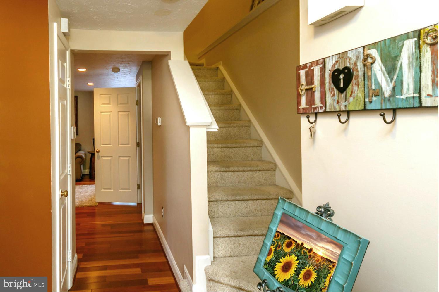 596 Quaker Ridge Court Arnold, MD 21012 - Photo 10 of 30 Entry Foyer Introducing Expert Millwork / Trim