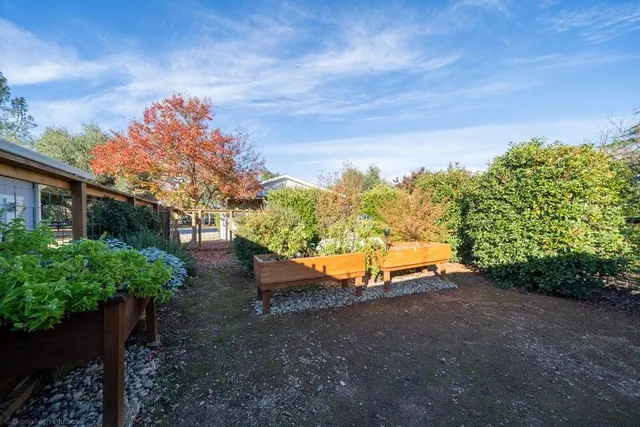 a view of a yard with an outdoor space