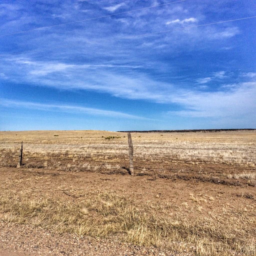 Lot 121 Turkey Ridge Ranch Walsenburg, CO 81089 - Photo 8 of 23