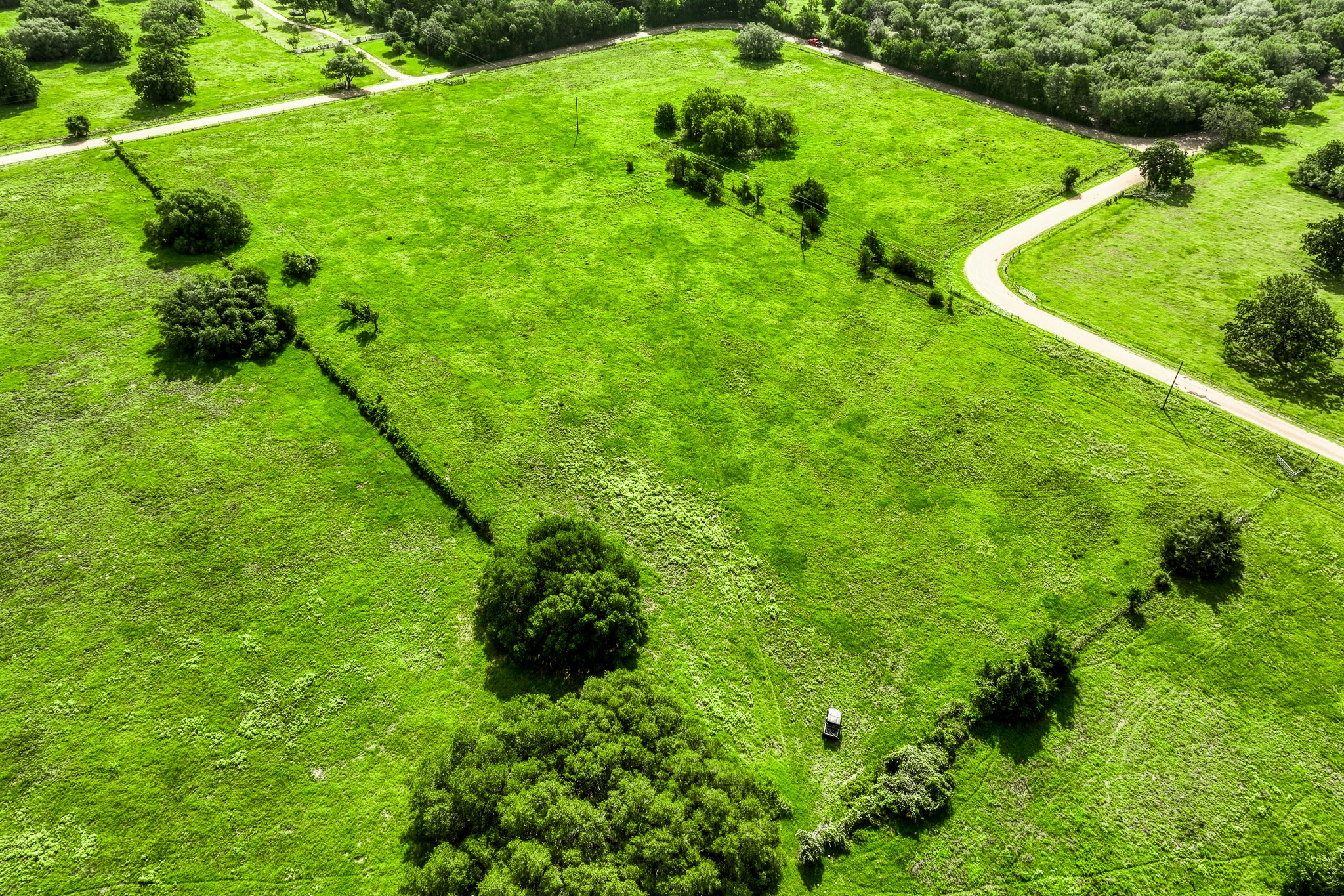7 South Nassau Road Round Top, TX 78954 - Photo 23 of 23 a yard with lots of green space