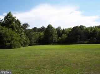 307 Greenbackville Road Stockton, MD 21864 - Photo 6 of 8