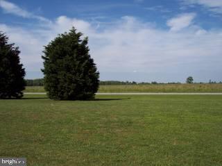 307 Greenbackville Road Stockton, MD 21864 - Photo 7 of 8
