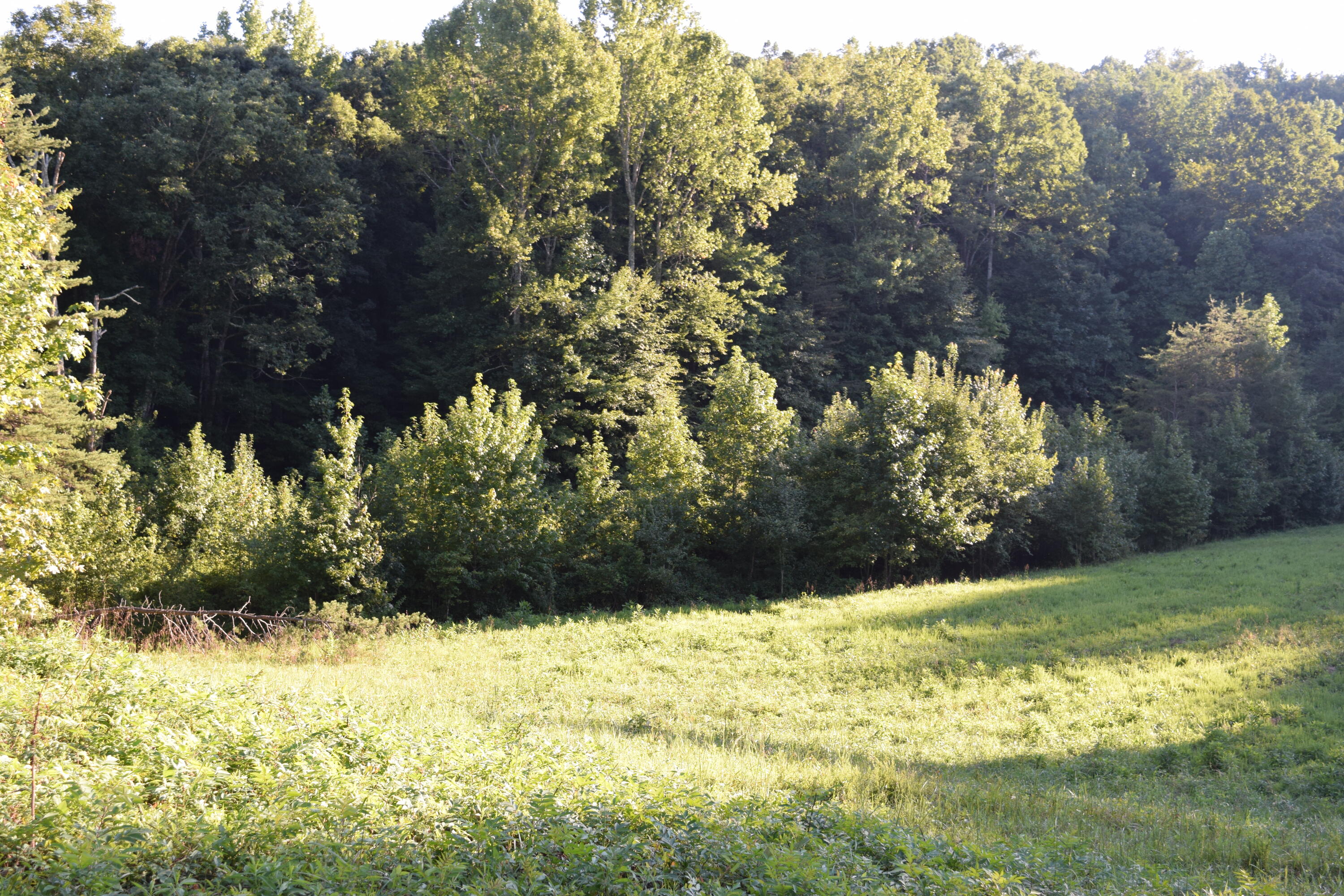 2091 Somerset Road London, KY 40741 - Photo 15 of 36 DSC_0022
