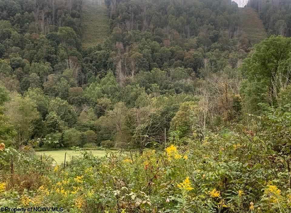 328 Coal Lick Road Albright, WV 26519 - Photo 4 of 27 Gallery Image 4