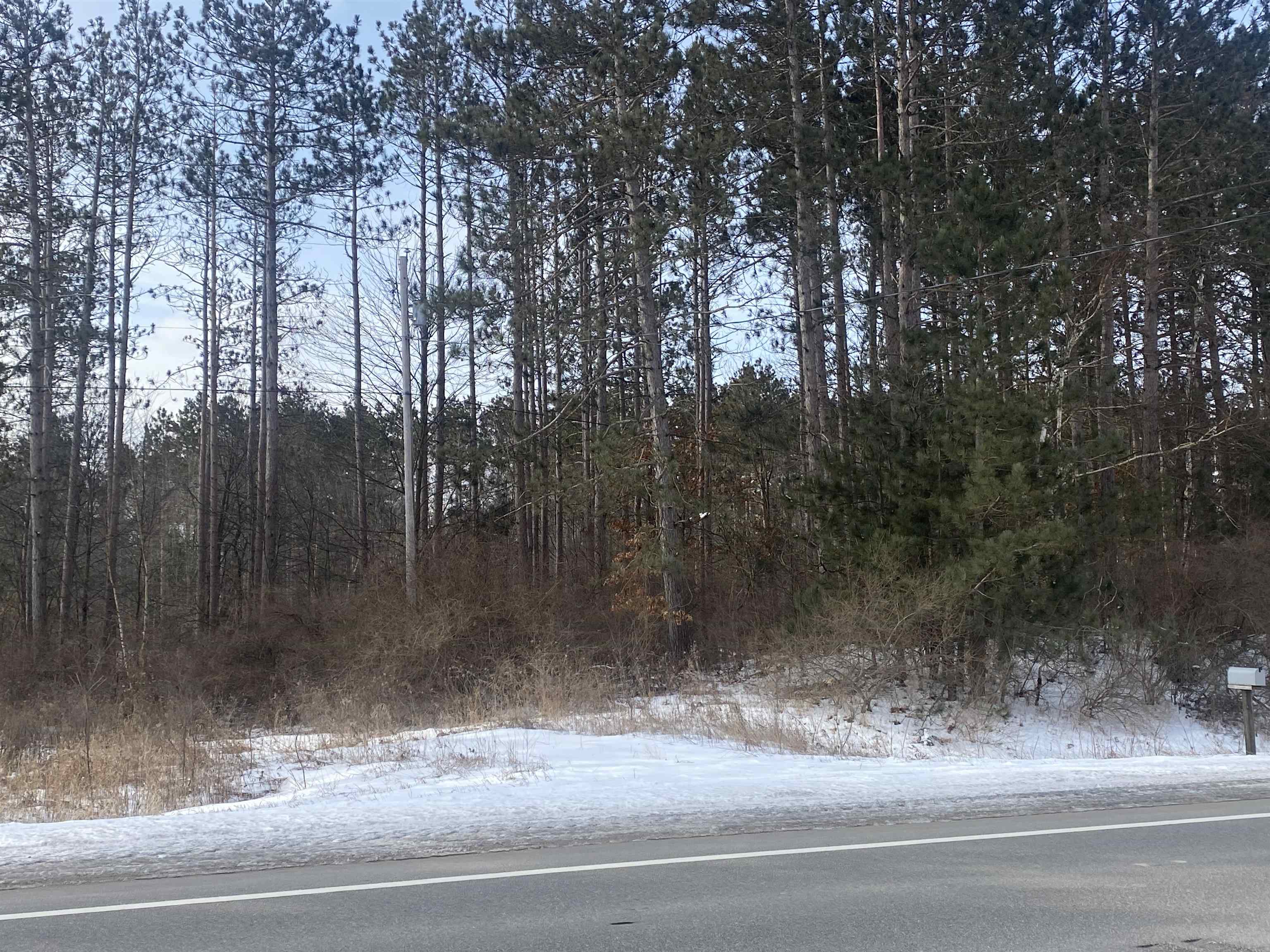 Tbd West Tbd W Remus Road Remus, MI 49340 - Photo 2 of 11 1897555-1.JPG