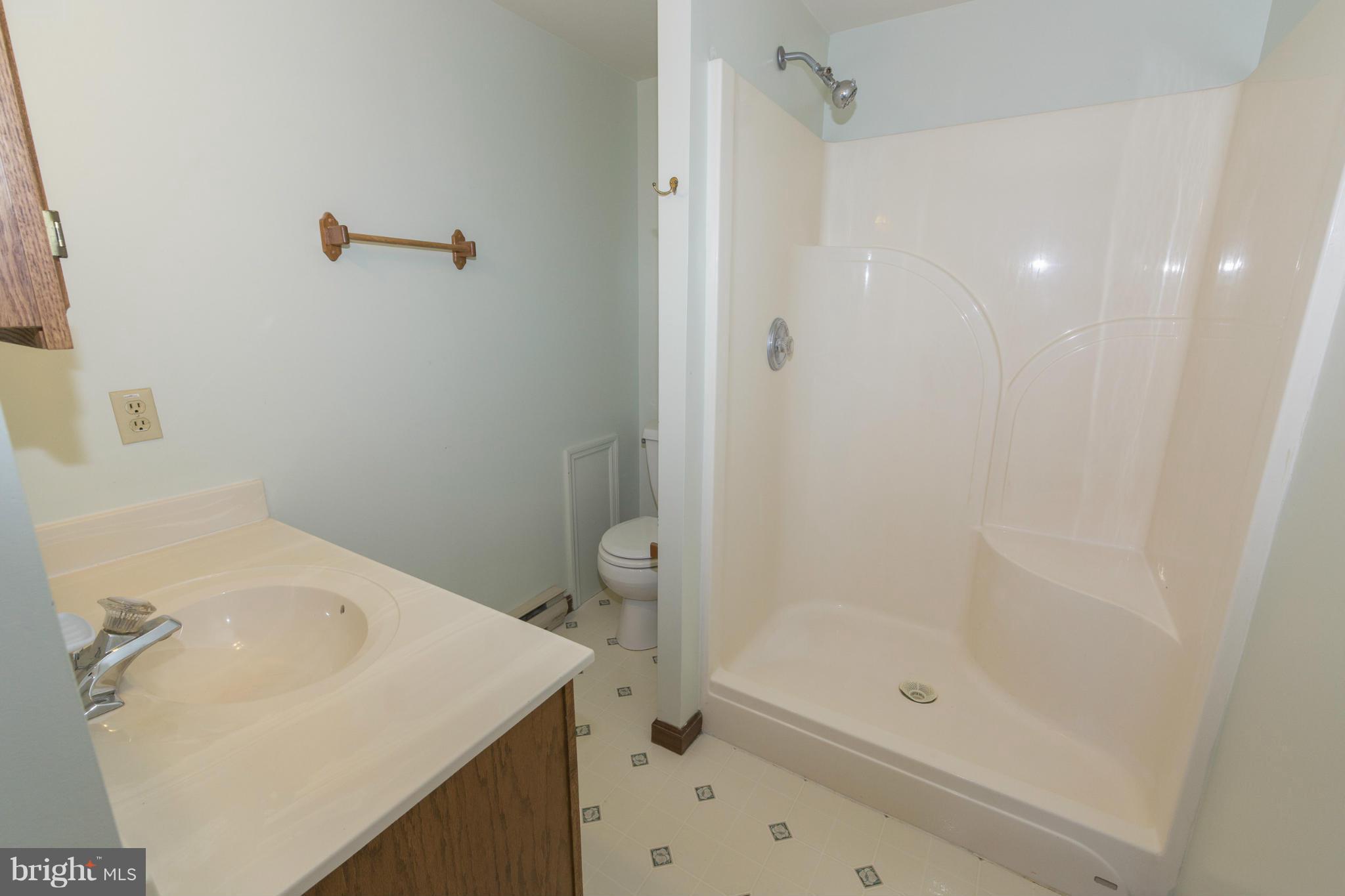16921 Spielman Road Fairplay, MD 21733 - Photo 21 of 30 Bath (Master)