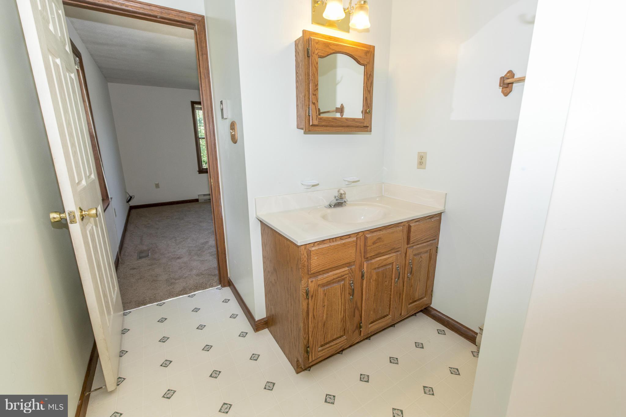 16921 Spielman Road Fairplay, MD 21733 - Photo 23 of 30 Bath (Master)