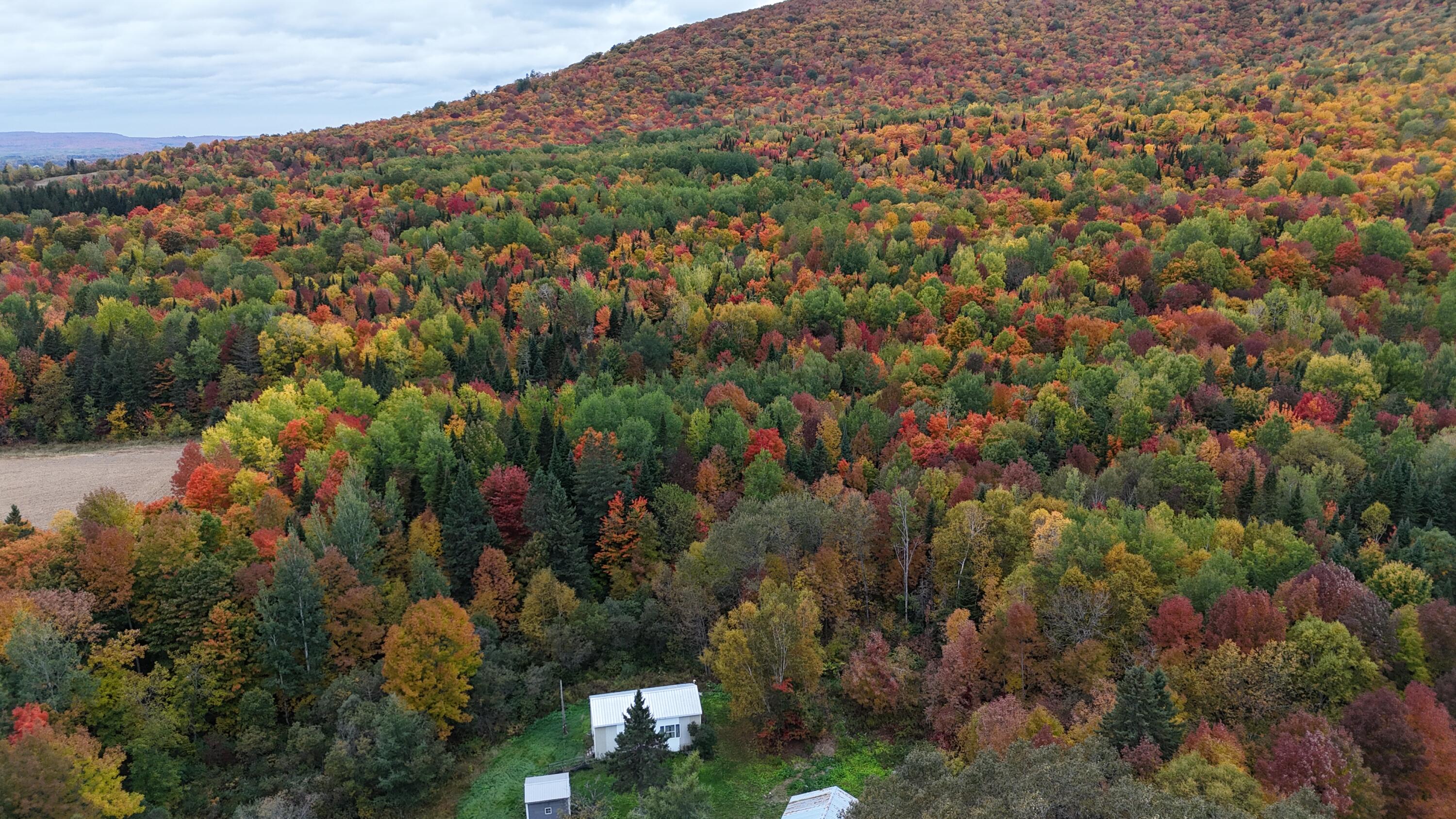 4 Mountain Road Blaine, ME 04734 - Photo 6 of 25 DJI_20260928170728_0048_D