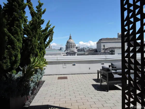 a roof deck with couches and a potted plant on a table