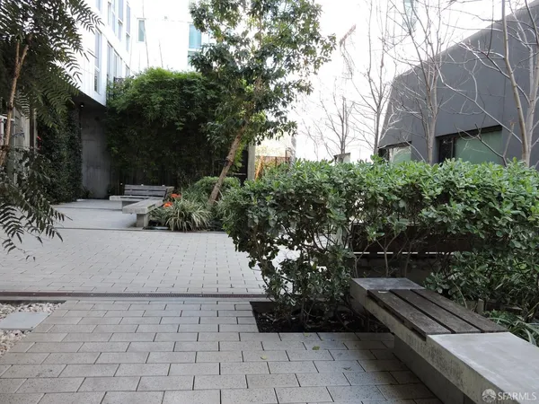 a view of garden with wooden bench