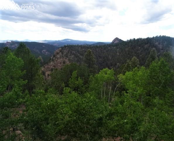 137 Blue Spruce Road Divide, CO 80814 - Photo 21 of 31 Gallery Image 21