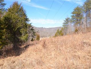 5080 Tipton Ridge Road Ravenna, KY 40472 - Photo 16 of 20 KU easement!