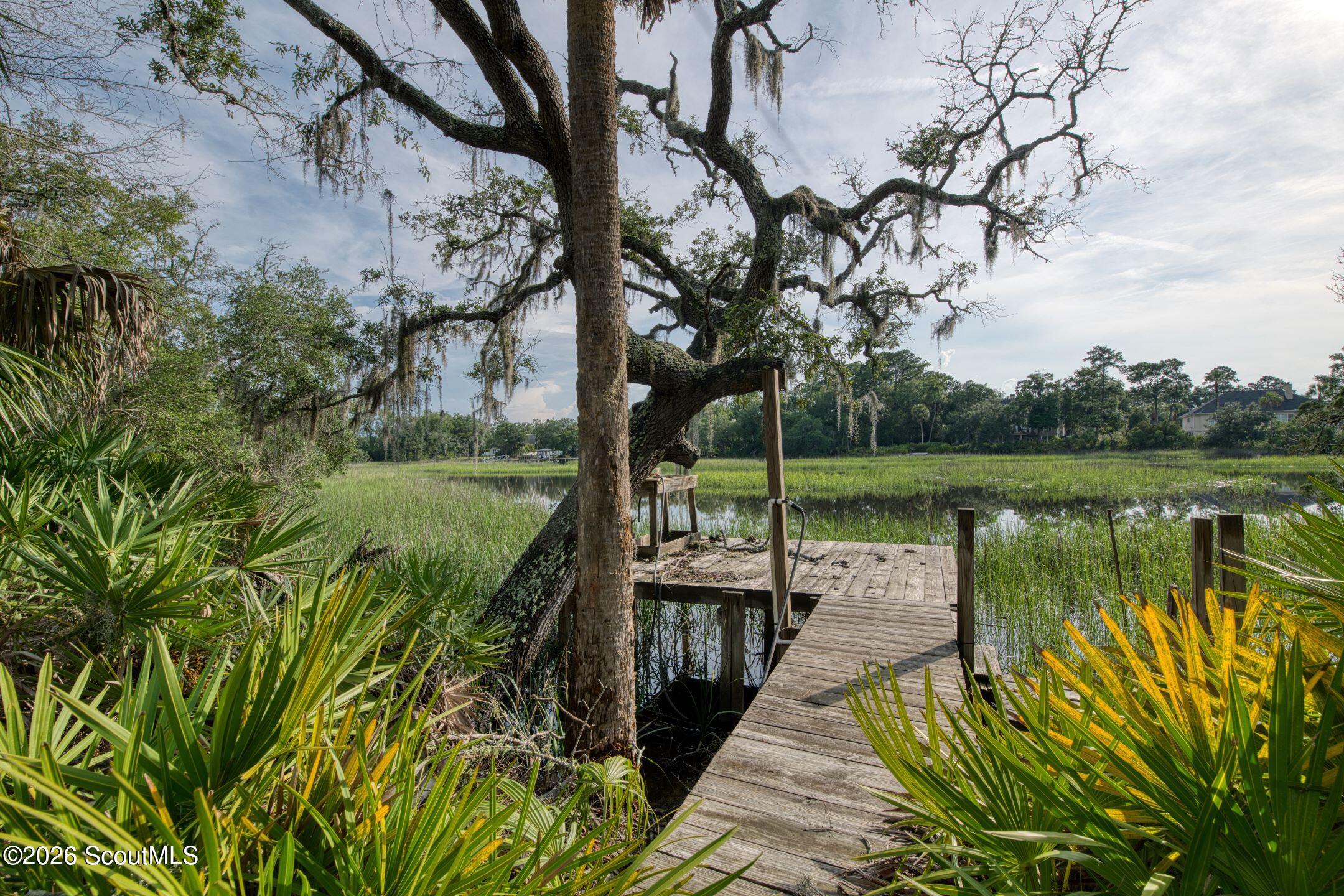 660-625 Jenkins Farm Road Brunswick, GA 31523 - Photo 25 of 31 DSC_4713_HDR