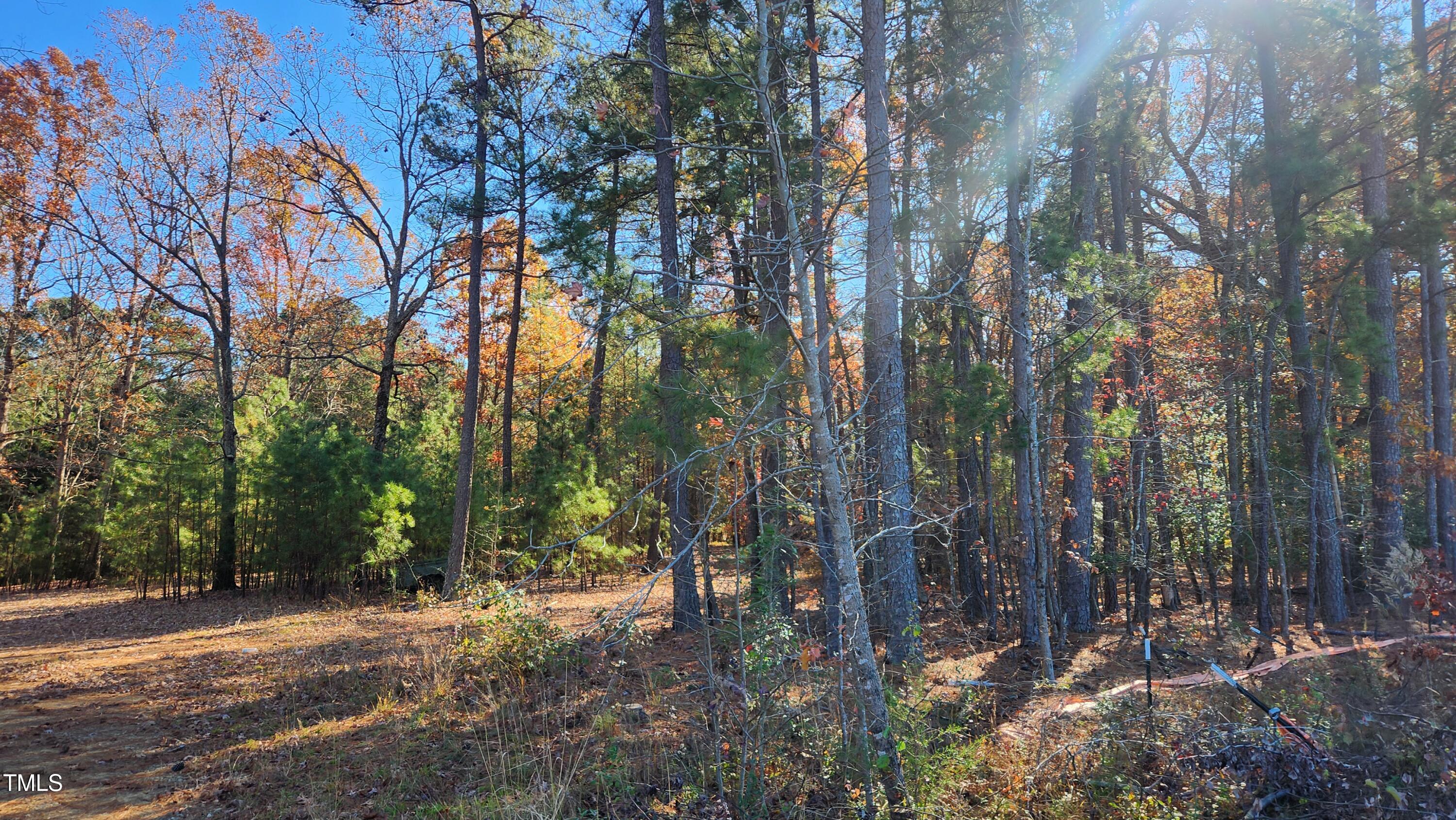 3909 Langston Circle Apex, NC 27539 - Photo 3 of 4 20241203_124936