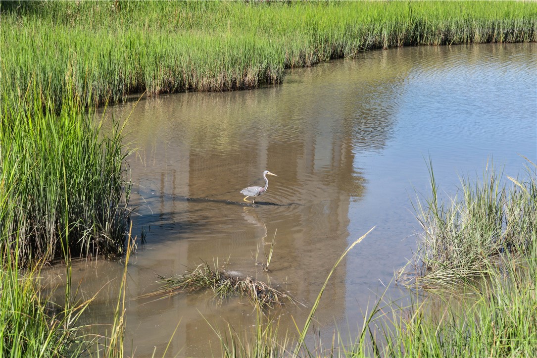 1 Marina Drive, Unit 204 A/B St. Simons Island, GA 31522 - Photo 31 of 34