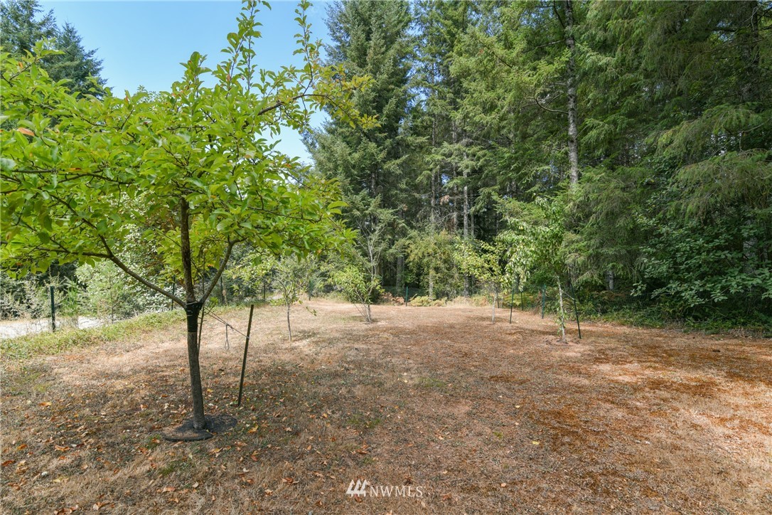 3100 East Rasor Road Belfair, WA 98528 - Photo 25 of 38 Gallery Image 25
