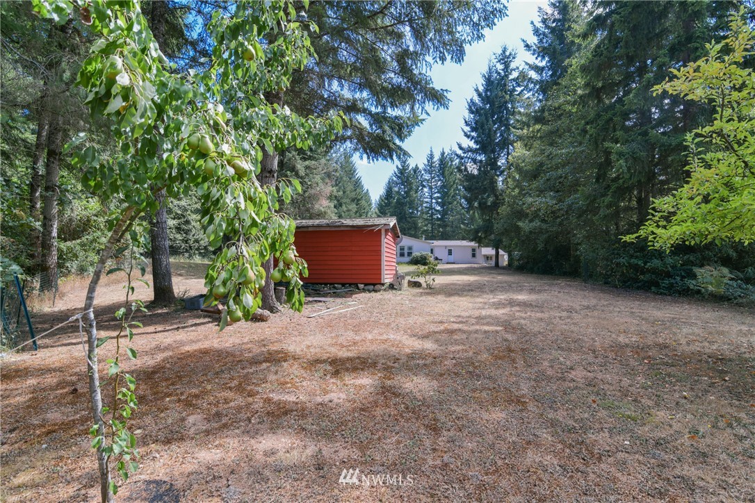 3100 East Rasor Road Belfair, WA 98528 - Photo 30 of 38 Gallery Image 30