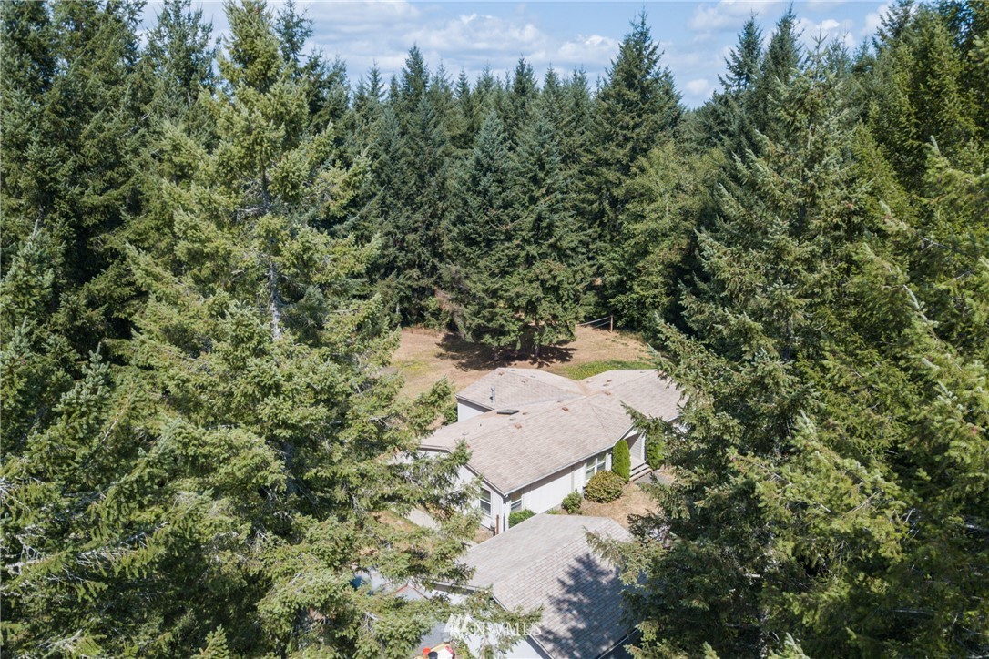 3100 East Rasor Road Belfair, WA 98528 - Photo 33 of 38 Gallery Image 33