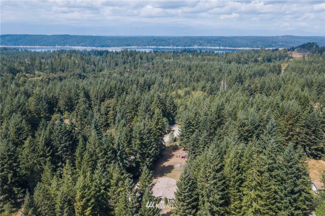 3100 East Rasor Road Belfair, WA 98528 - Photo 34 of 38 Gallery Image 34