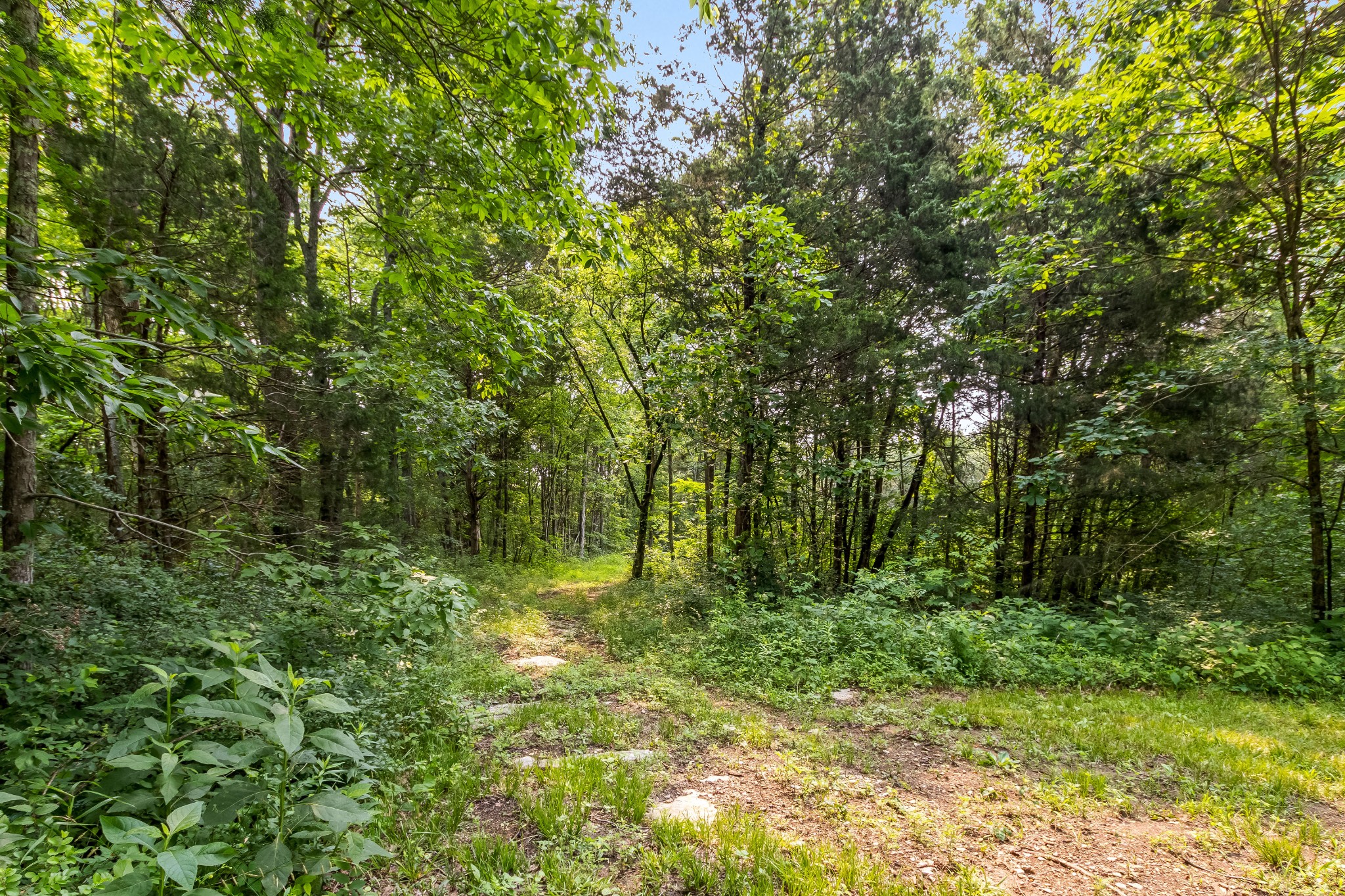 1049 Oregon Road Lascassas, TN 37085 - Photo 15 of 100