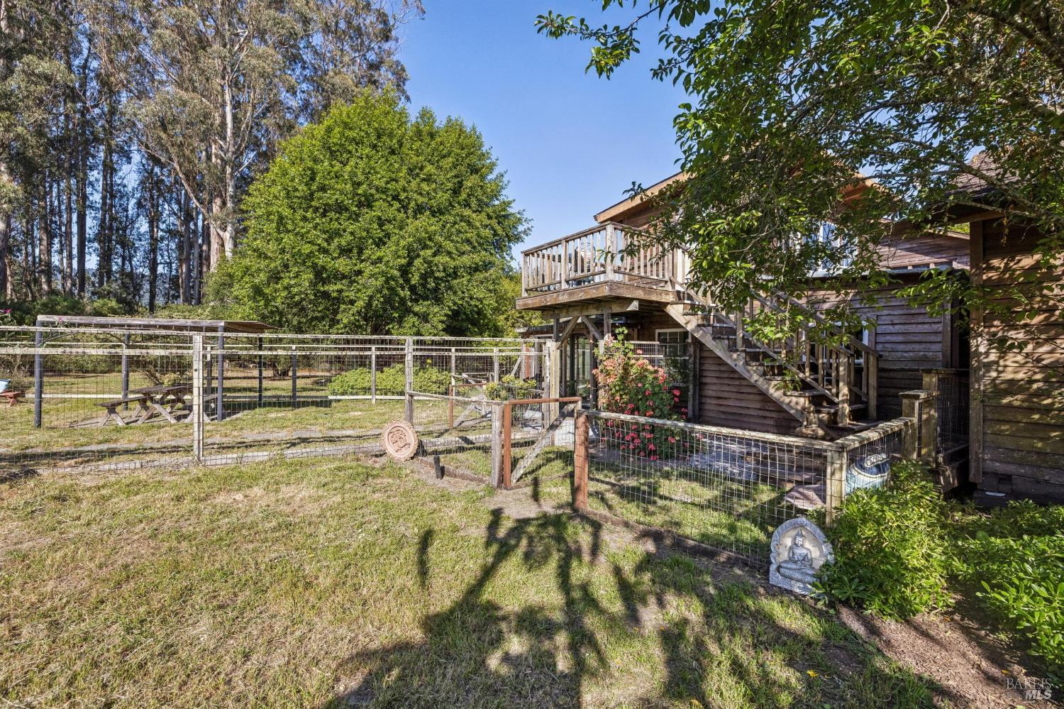 5 Lauff Ranch Road Bolinas, CA 94924 - Photo 51 of 92