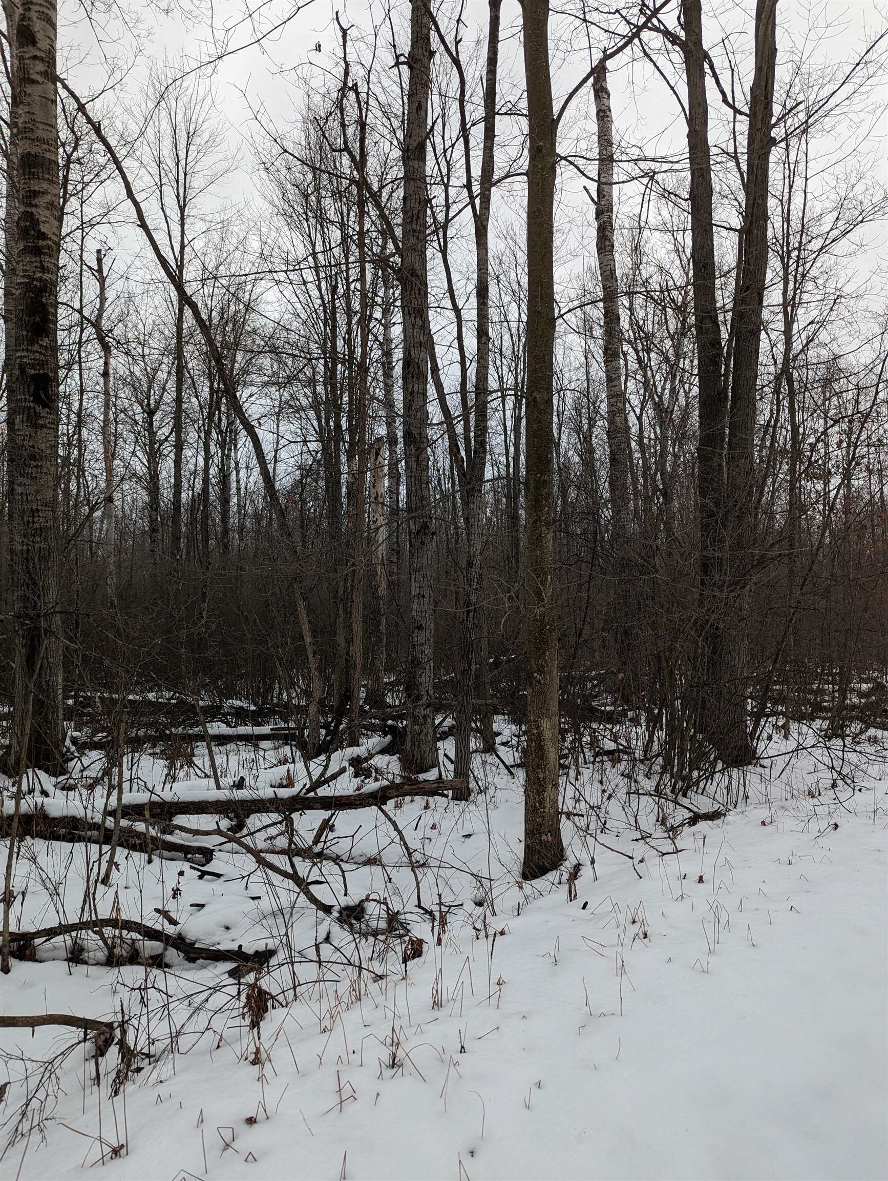 N/a N/a Nolbock Road Omer, MI 48749 - Photo 2 of 17