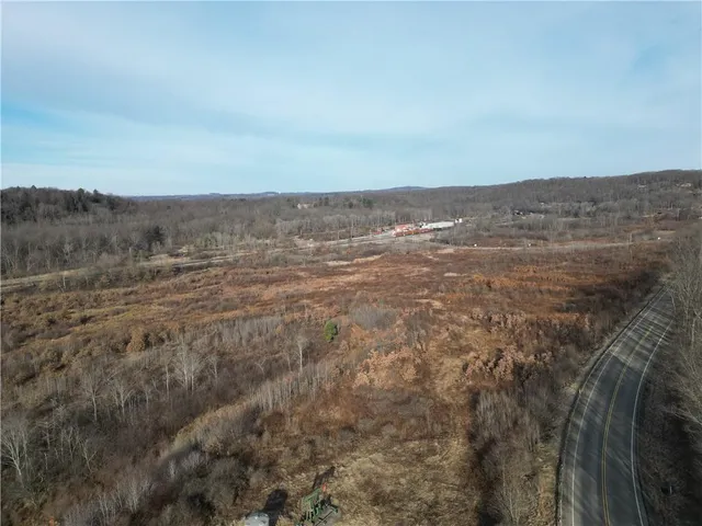 a view of a dry yard with trees