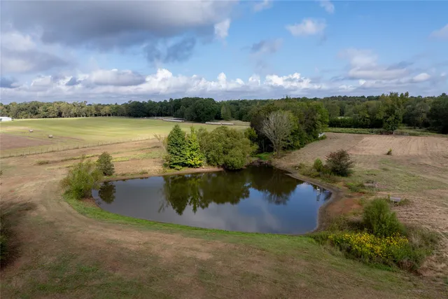 a view of a lake with a city