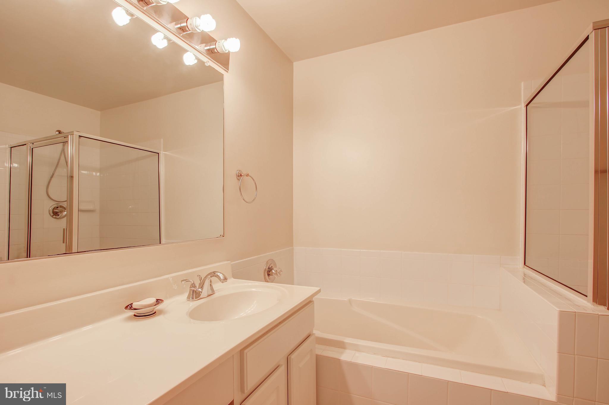6352 Wind Rider Way Columbia, MD 21045 - Photo 22 of 30 Bath (Master)