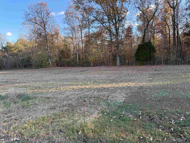 a view of dirt field with large trees