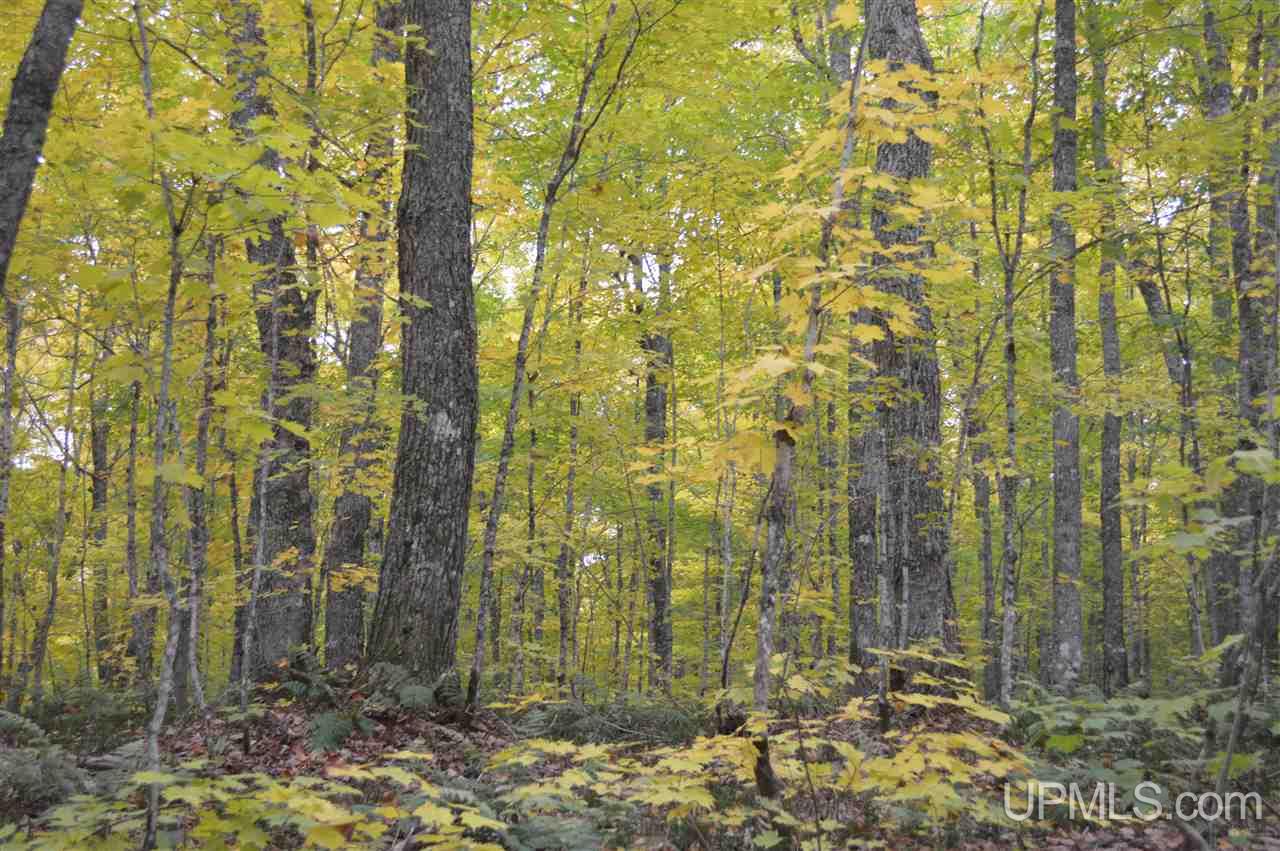 Tbd Peshekee Grade Road Skanee, MI 49962 - Photo 1 of 35