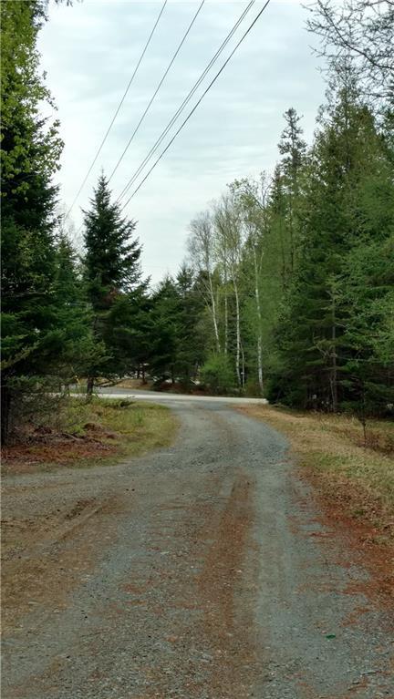 Lot 2 Dodge Pond Road Rangeley, ME 04970 - Photo 6 of 8 Photo