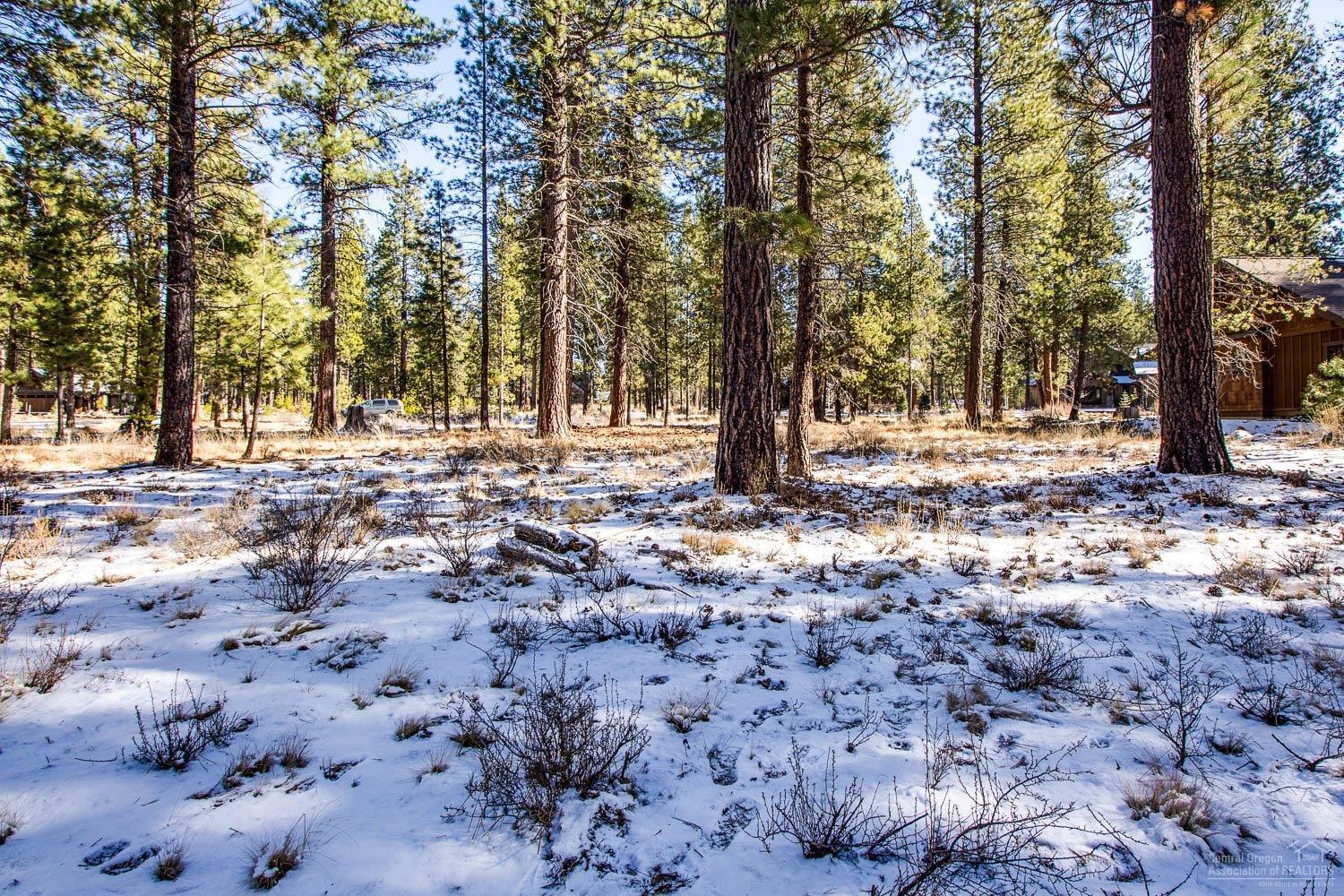 56154 Sable Rock Loop Bend, OR 97707 - Photo 9 of 12 Additional Photo