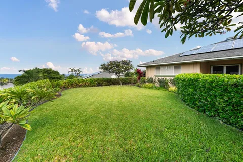 a view of backyard with garden and plants