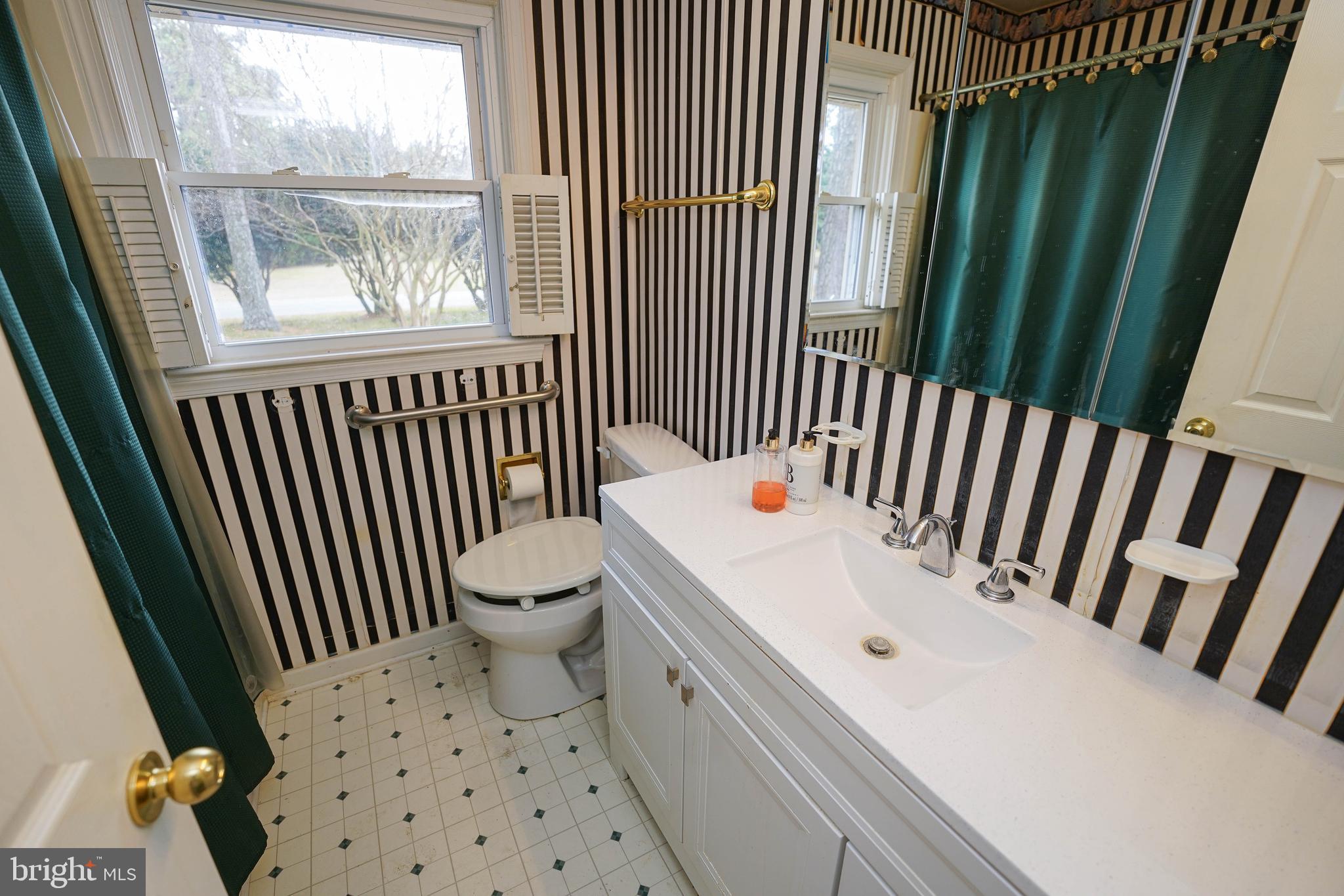 30332 Dagsboro Road Salisbury, MD 21804 - Photo 36 of 53 a bathroom with a sink a toilet and a window