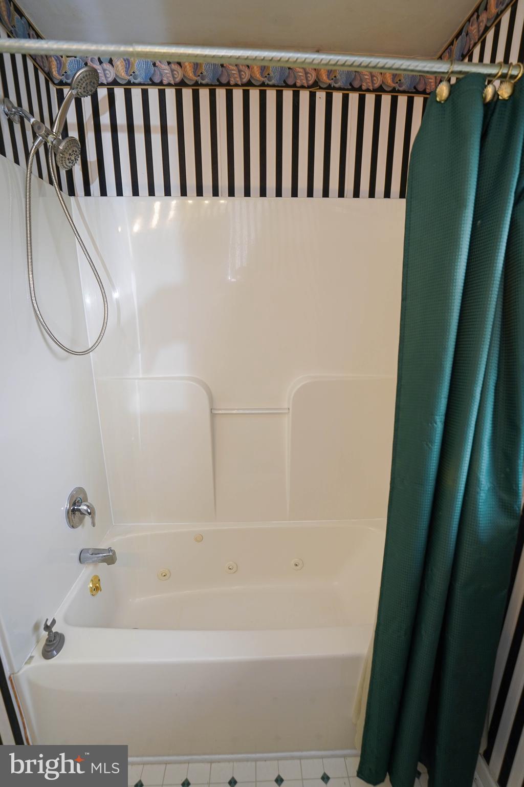 30332 Dagsboro Road Salisbury, MD 21804 - Photo 38 of 53 a view of a bathroom with bathtub and shower