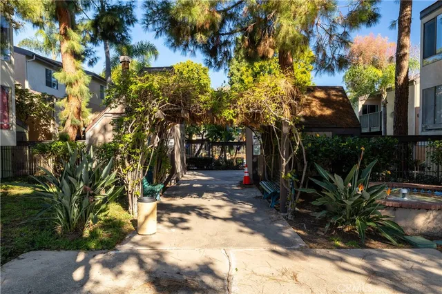 a view of a yard with plants and trees