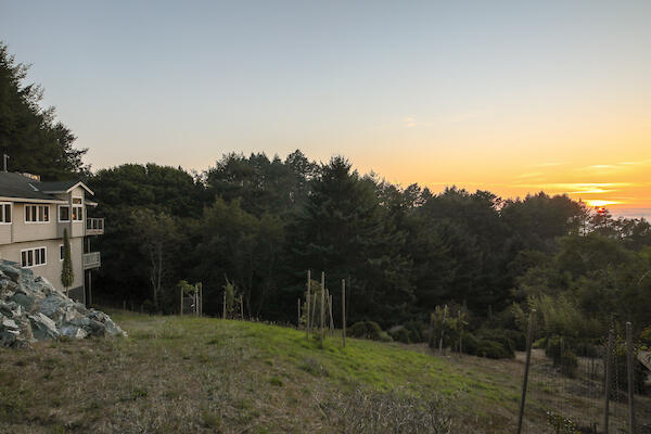 1050 Spring Road Shelter Cove, CA 95589 - Photo 11 of 42 a backyard of a house with lots of green space