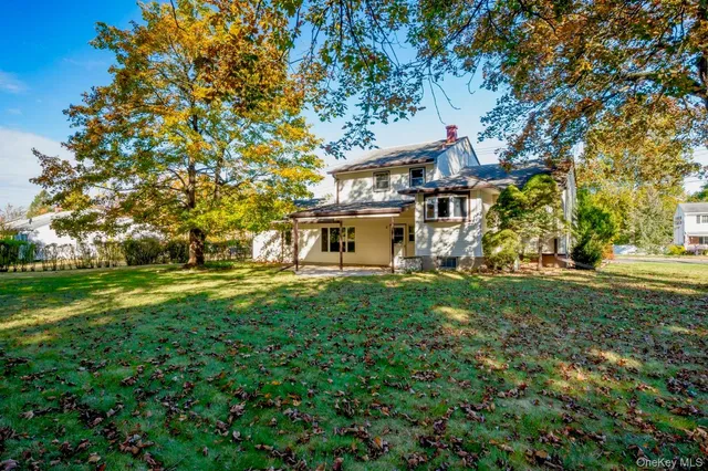 a view of a big yard with plants and trees