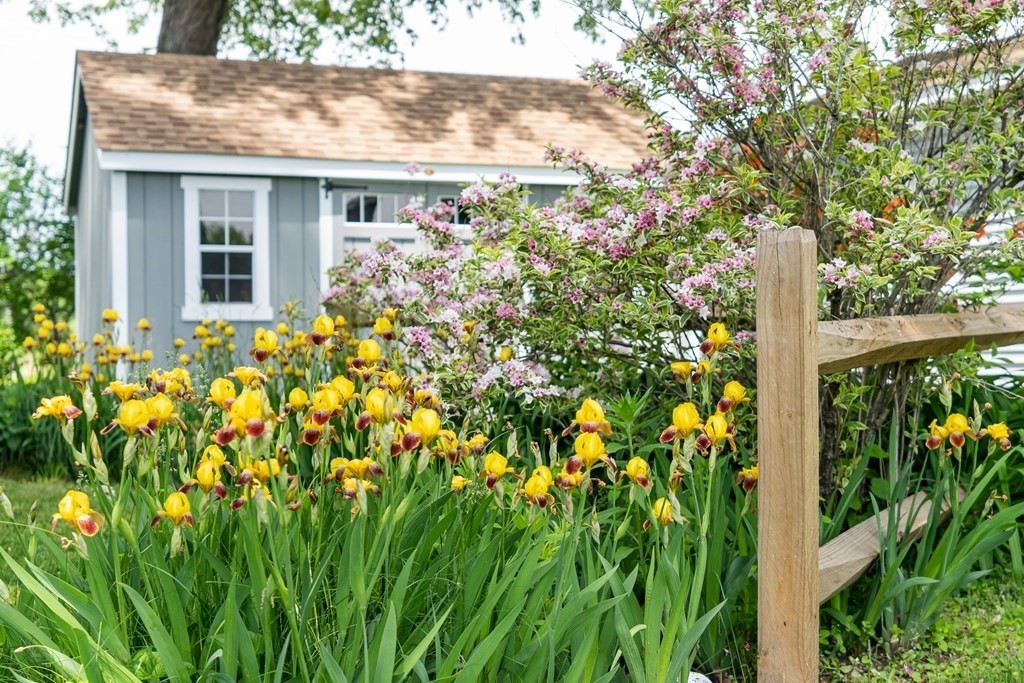 101 Honey Pot Road Hadley, MA 01035 - Photo 11 of 42 Gallery Image 11