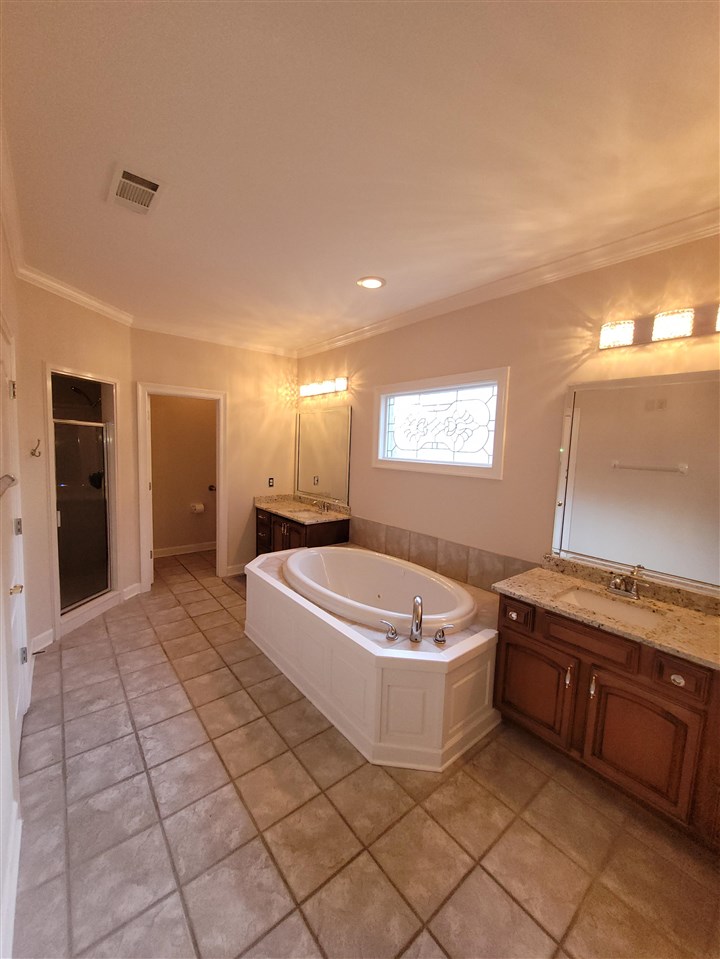 536 Estanaula Road Collierville, TN 38017 - Photo 16 of 25 a spacious bathroom with a tub a sink and a mirror