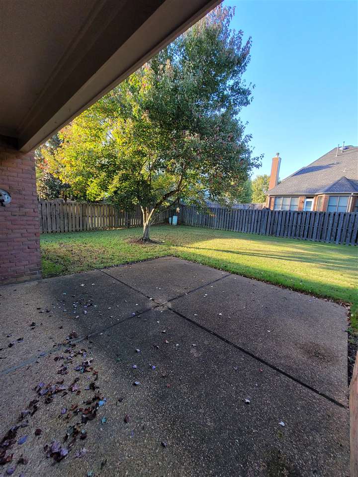 536 Estanaula Road Collierville, TN 38017 - Photo 7 of 25 a view of a park with large trees
