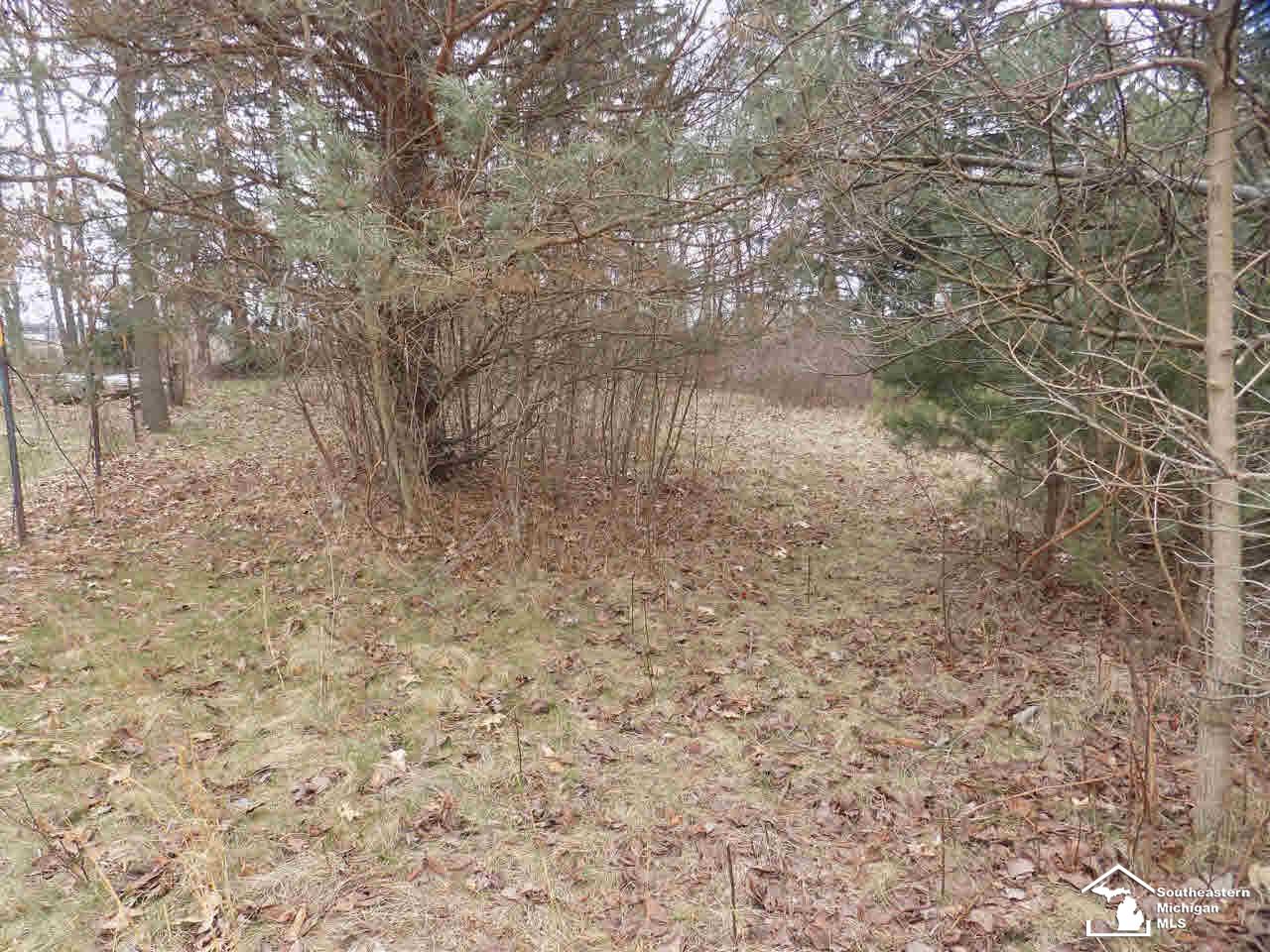 5477 West Rauch Petersburg, MI 49270 - Photo 20 of 21 Trails