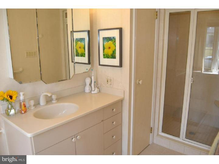 441 Williams Road Wynnewood, PA 19096 - Photo 11 of 19 Master Bathroom