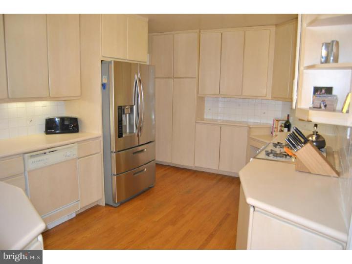 441 Williams Road Wynnewood, PA 19096 - Photo 6 of 19 Kitchen