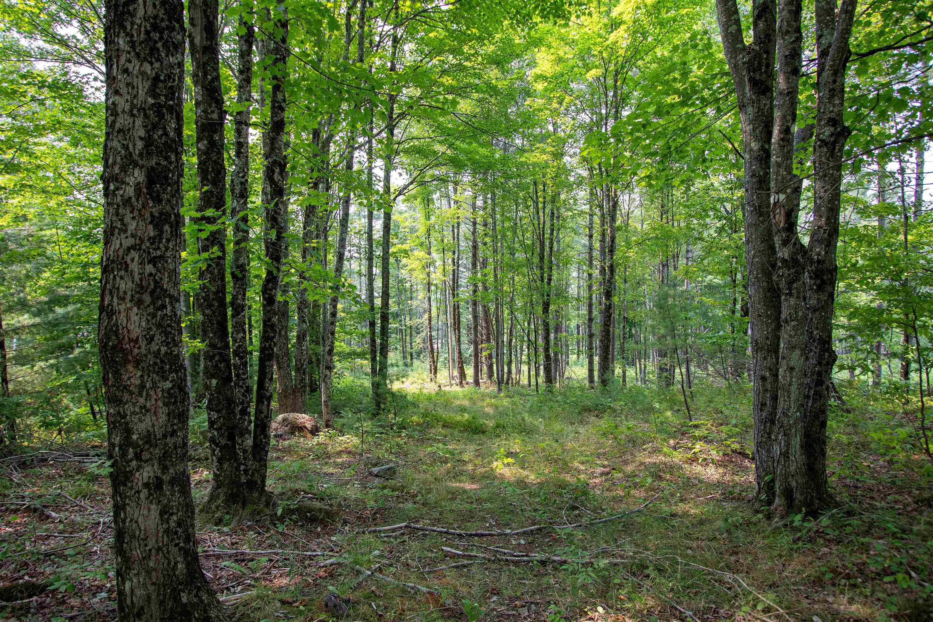 1201 Shadow Lake Road Waterford, VT 05819 - Photo 53 of 58