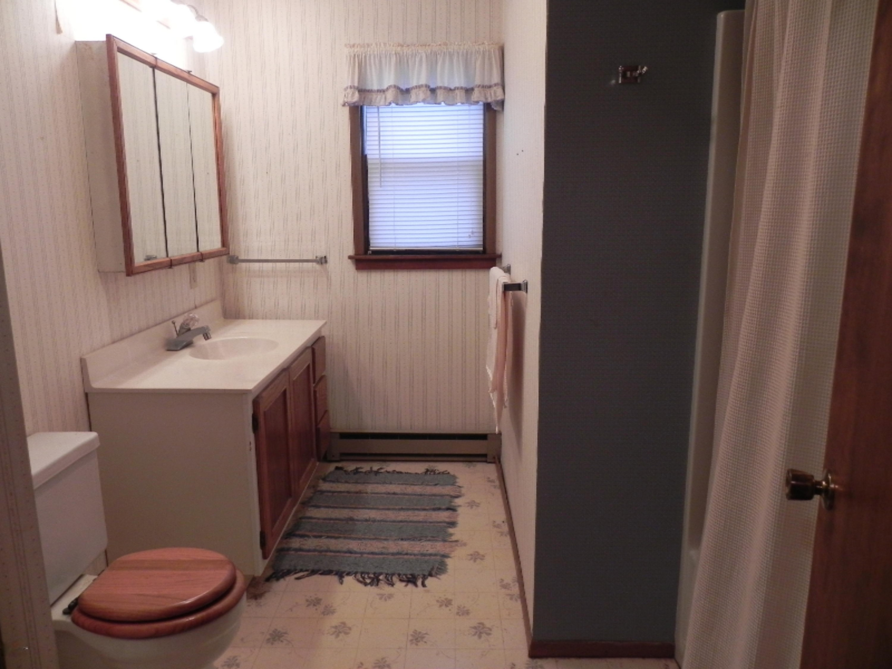 611 North Phelps Street Decatur, MI 49045 - Photo 12 of 17 DSCN4384