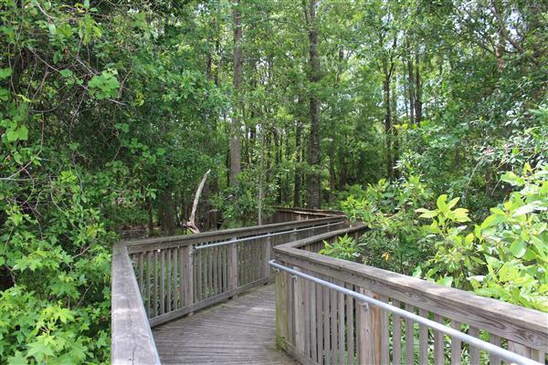 121 Walnut Creek Road Charleston, SC 29414 - Photo 35 of 35 Bees Landing RC Path