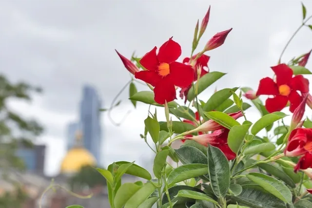 front view of a building