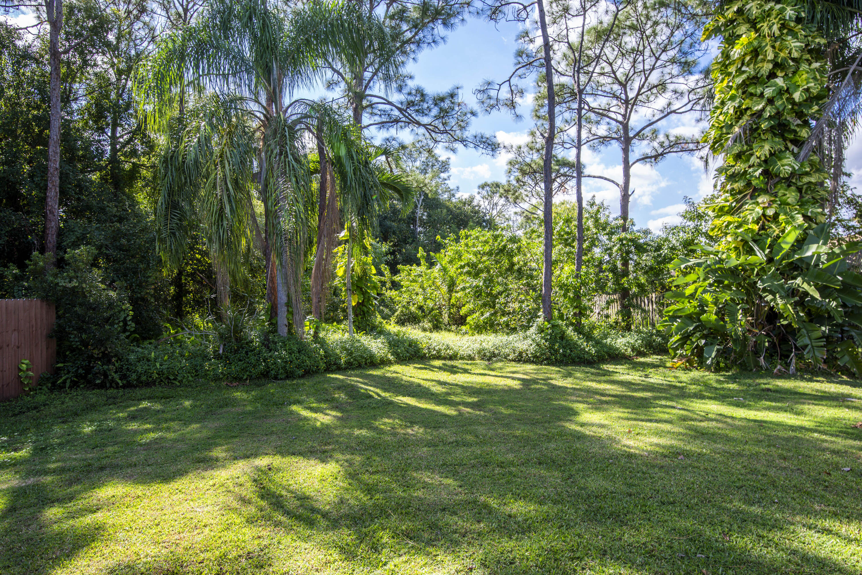 6690 Southeast Raintree Avenue Stuart, FL 34997 - Photo 28 of 43 a view of a big yard with plants and large trees
